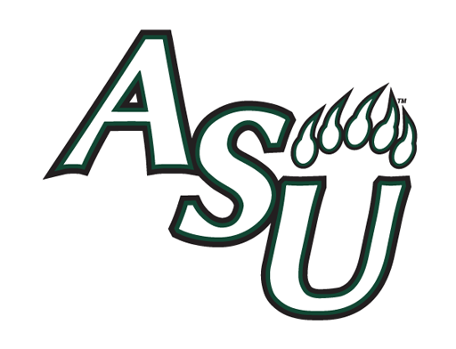 Adams State University Volleyball Camps